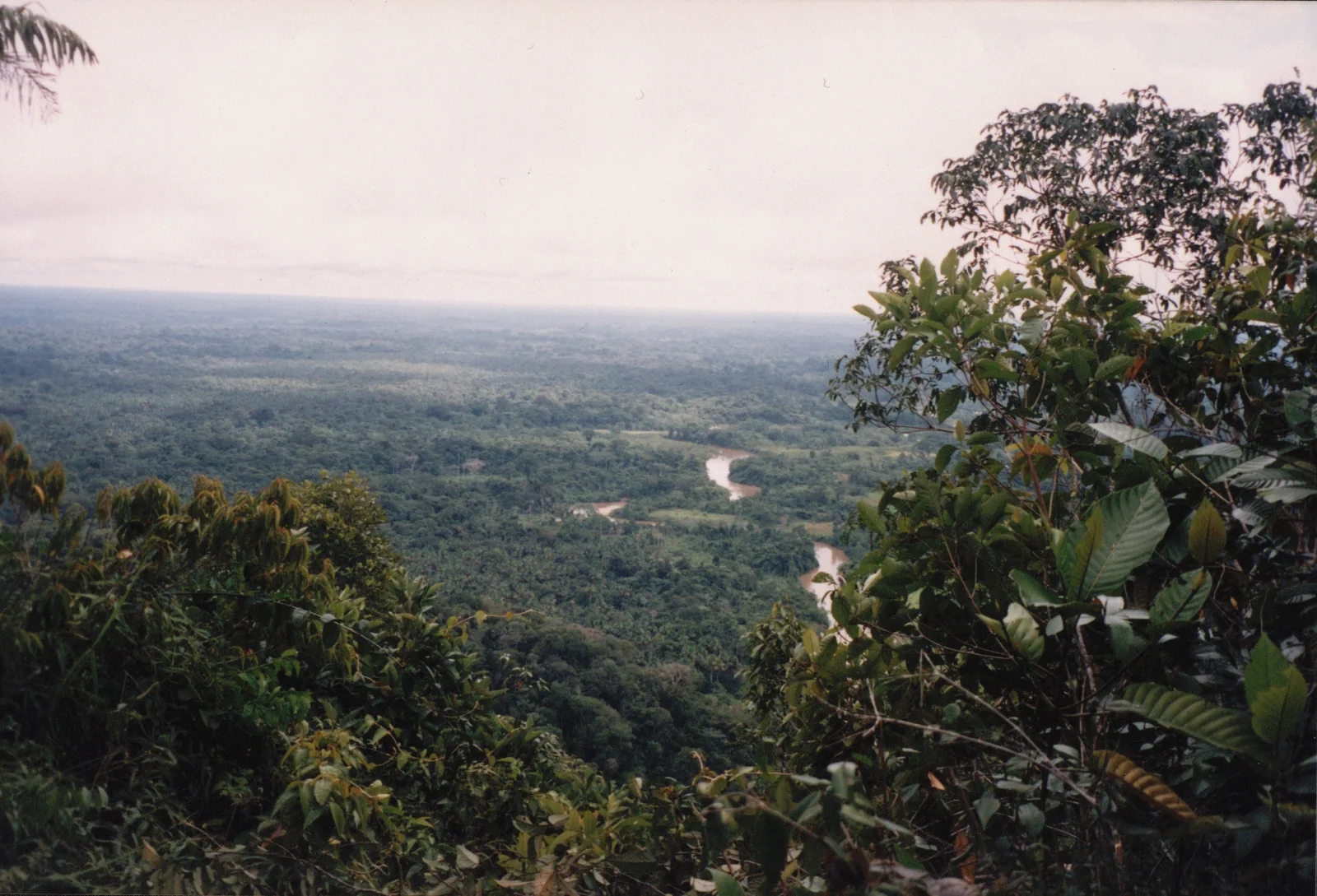 Vista elevada da floresta e dos rios na Serra do Divisor