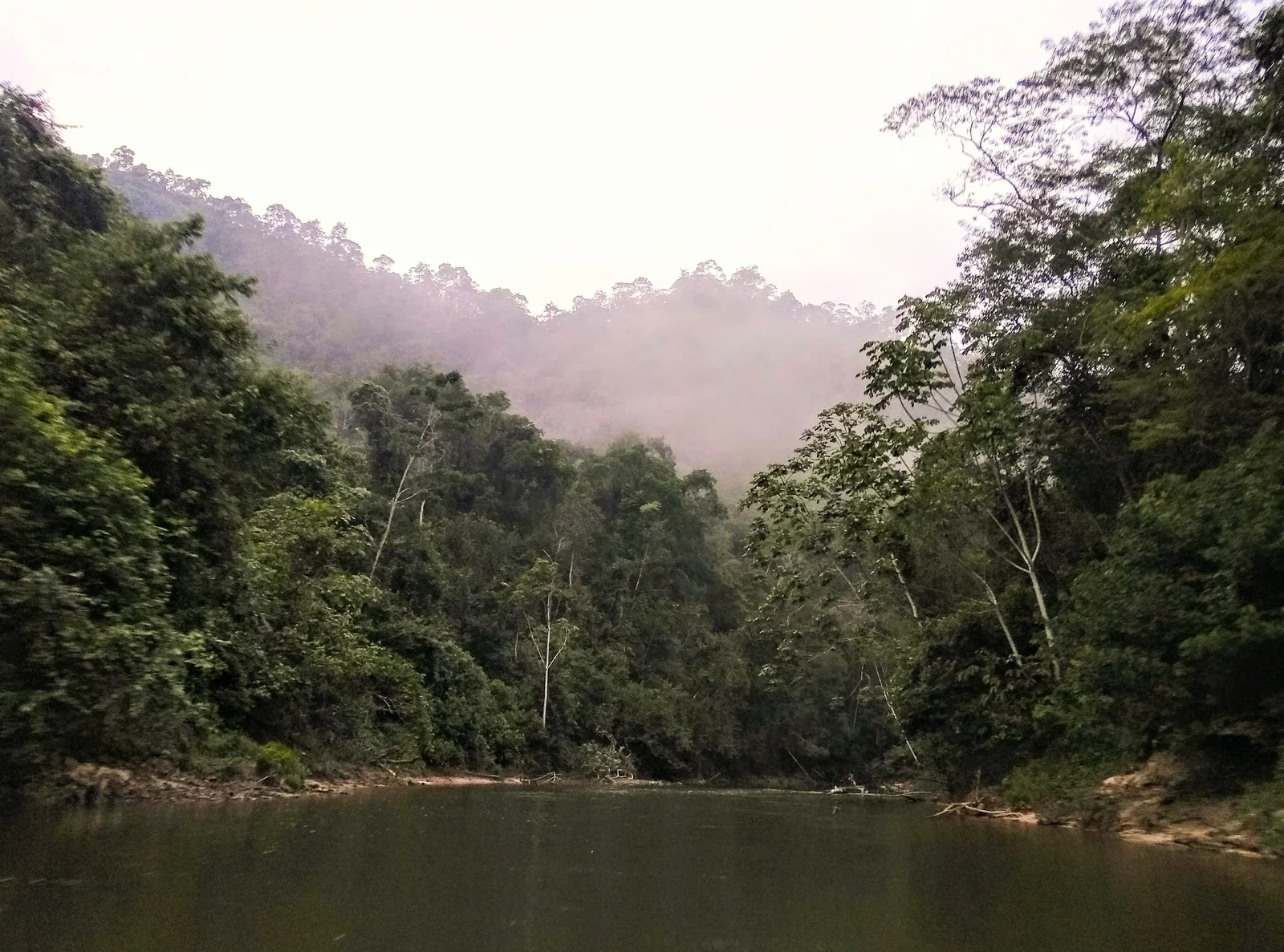 Rio Moa cercado pela floresta na Serra do Divisor